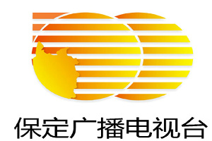 保定新聞綜合頻道臺標
