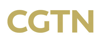 CGTN NEWS臺標