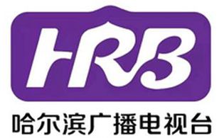 哈爾濱新聞綜合頻道臺標