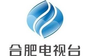 合肥文體博覽頻道臺標